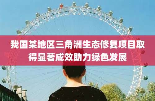 我国某地区三角洲生态修复项目取得显著成效助力绿色发展