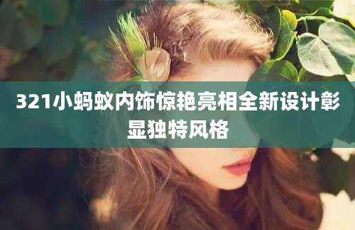 321小蚂蚁内饰惊艳亮相全新设计彰显独特风格
