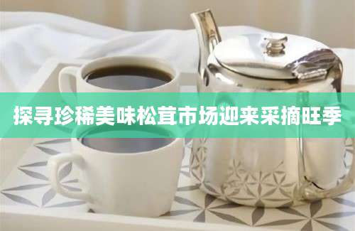探寻珍稀美味松茸市场迎来采摘旺季