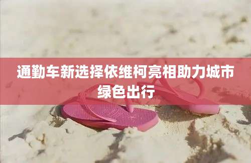通勤车新选择依维柯亮相助力城市绿色出行