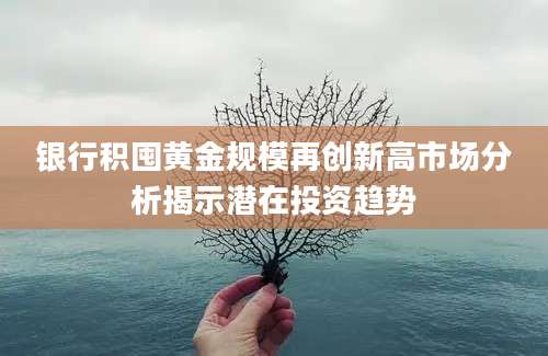 银行积囤黄金规模再创新高市场分析揭示潜在投资趋势