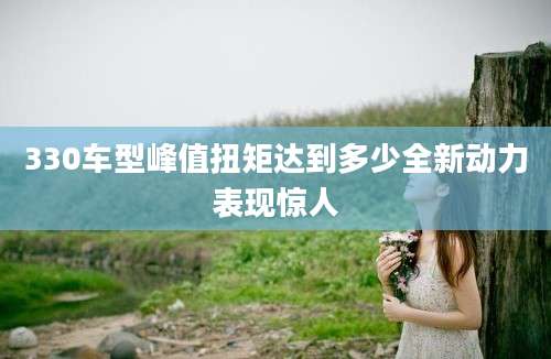 330车型峰值扭矩达到多少全新动力表现惊人