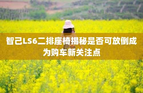 智己LS6二排座椅揭秘是否可放倒成为购车新关注点