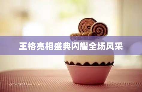 王格亮相盛典闪耀全场风采
