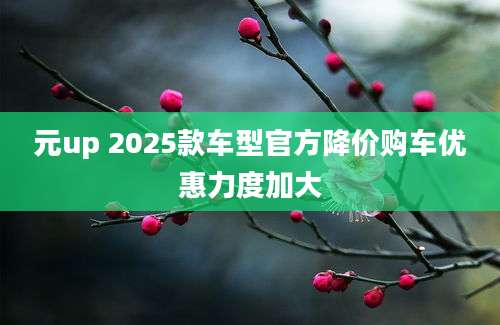 元up 2025款车型官方降价购车优惠力度加大