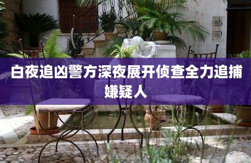 白夜追凶警方深夜展开侦查全力追捕嫌疑人