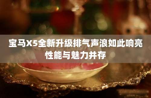 宝马X5全新升级排气声浪如此响亮性能与魅力并存