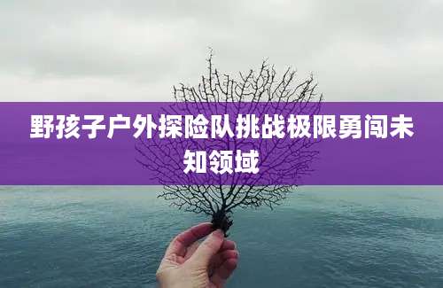 野孩子户外探险队挑战极限勇闯未知领域