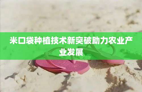 米口袋种植技术新突破助力农业产业发展