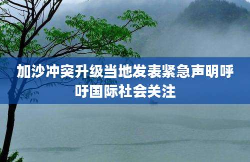 加沙冲突升级当地发表紧急声明呼吁国际社会关注