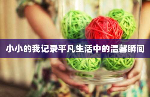 小小的我记录平凡生活中的温馨瞬间