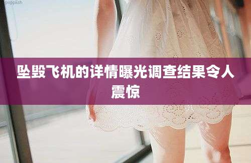 坠毁飞机的详情曝光调查结果令人震惊