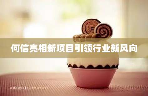 何信亮相新项目引领行业新风向