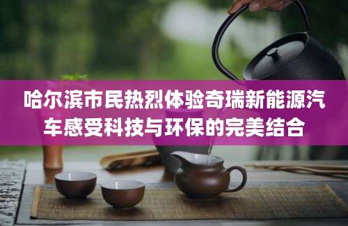 哈尔滨市民热烈体验奇瑞新能源汽车感受科技与环保的完美结合