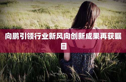 向鹏引领行业新风向创新成果再获瞩目