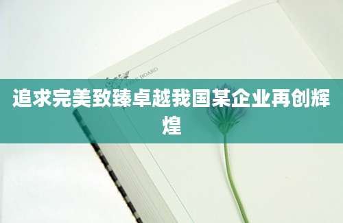 追求完美致臻卓越我国某企业再创辉煌