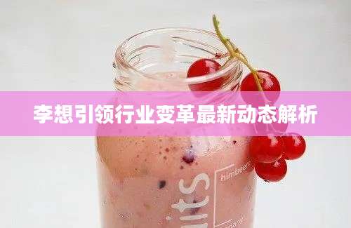 李想引领行业变革最新动态解析