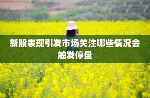 新股表现引发市场关注哪些情况会触发停盘