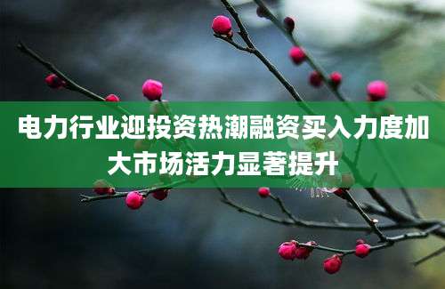电力行业迎投资热潮融资买入力度加大市场活力显著提升