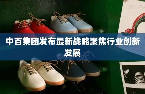 中百集团发布最新战略聚焦行业创新发展