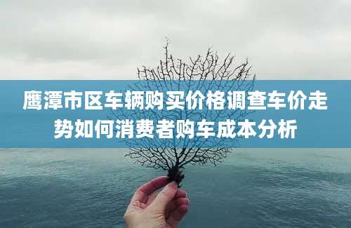 鹰潭市区车辆购买价格调查车价走势如何消费者购车成本分析