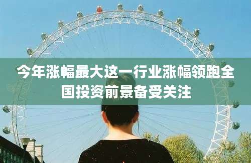 今年涨幅最大这一行业涨幅领跑全国投资前景备受关注