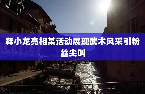 释小龙亮相某活动展现武术风采引粉丝尖叫