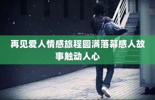 再见爱人情感旅程圆满落幕感人故事触动人心