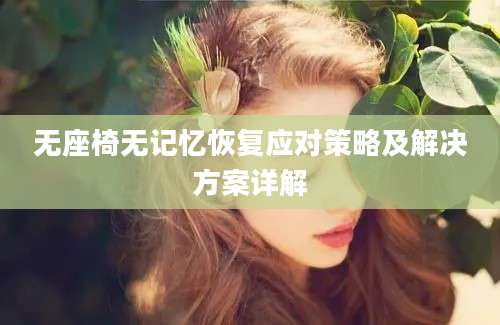 无座椅无记忆恢复应对策略及解决方案详解