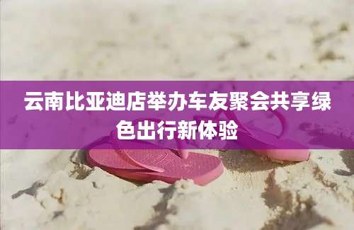 云南比亚迪店举办车友聚会共享绿色出行新体验