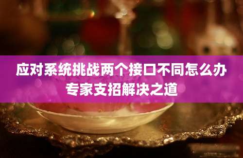 应对系统挑战两个接口不同怎么办专家支招解决之道
