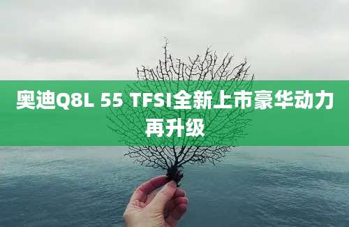奥迪Q8L 55 TFSI全新上市豪华动力再升级
