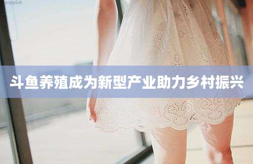 斗鱼养殖成为新型产业助力乡村振兴