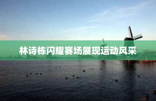 林诗栋闪耀赛场展现运动风采
