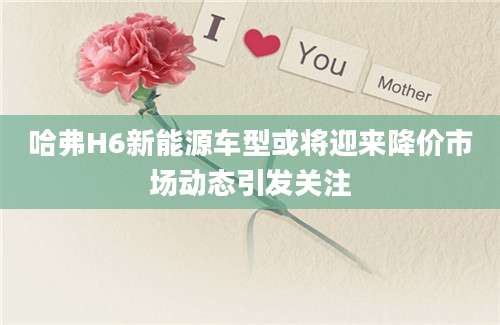 哈弗H6新能源车型或将迎来降价市场动态引发关注