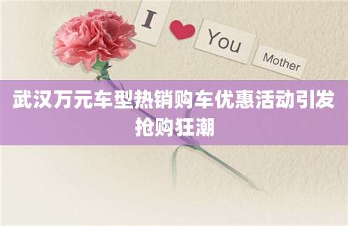 武汉万元车型热销购车优惠活动引发抢购狂潮