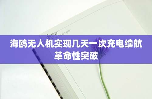 海鸥无人机实现几天一次充电续航革命性突破