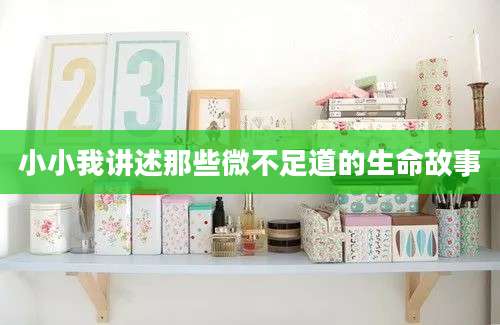 小小我讲述那些微不足道的生命故事