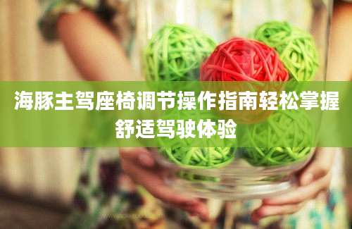 海豚主驾座椅调节操作指南轻松掌握舒适驾驶体验