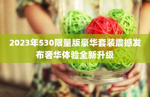 2023年530限量版豪华套装震撼发布奢华体验全新升级