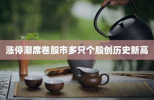 涨停潮席卷股市多只个股创历史新高