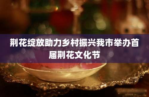荆花绽放助力乡村振兴我市举办首届荆花文化节