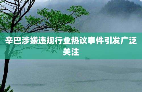 辛巴涉嫌违规行业热议事件引发广泛关注