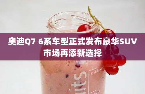 奥迪Q7 6系车型正式发布豪华SUV市场再添新选择