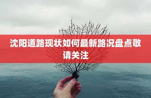 沈阳道路现状如何最新路况盘点敬请关注