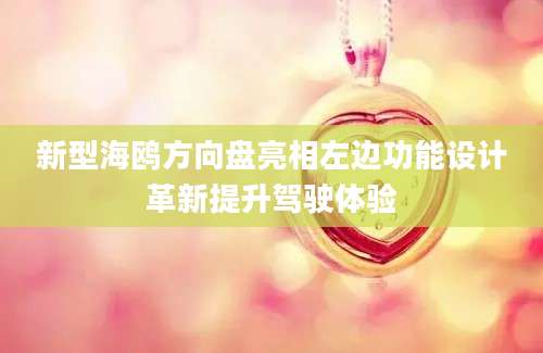 新型海鸥方向盘亮相左边功能设计革新提升驾驶体验