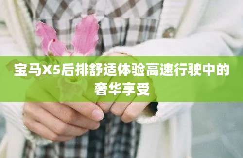 宝马X5后排舒适体验高速行驶中的奢华享受
