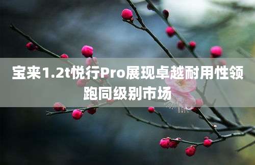 宝来1.2t悦行Pro展现卓越耐用性领跑同级别市场