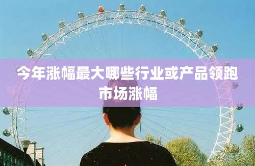 今年涨幅最大哪些行业或产品领跑市场涨幅