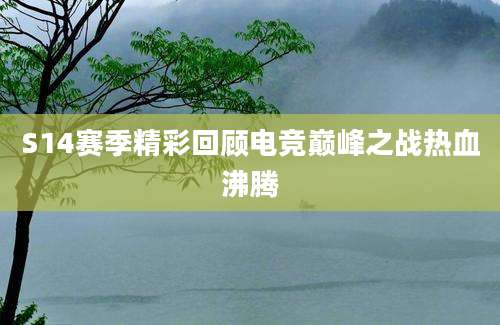 S14赛季精彩回顾电竞巅峰之战热血沸腾